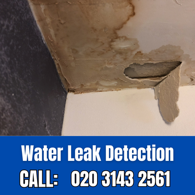 Expert Water Leak Detection Services in Hampton Wick | Hampton Wick Leak Detection